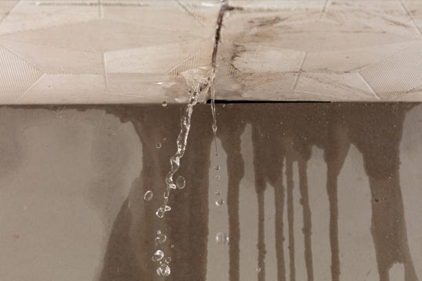 Professional Structural Drying technician working in Roosevelt, NY